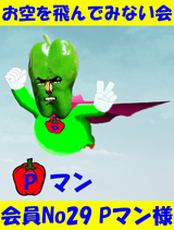 160-p.jpg