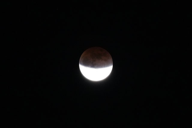 2021年11月19日 部分月食 (6).JPG
