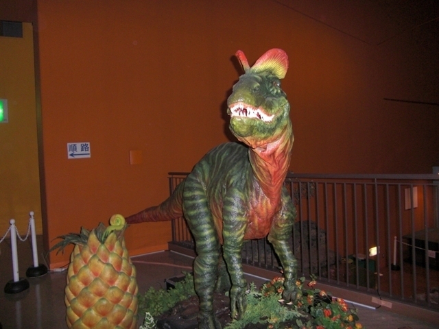 CIMG9076.JPG