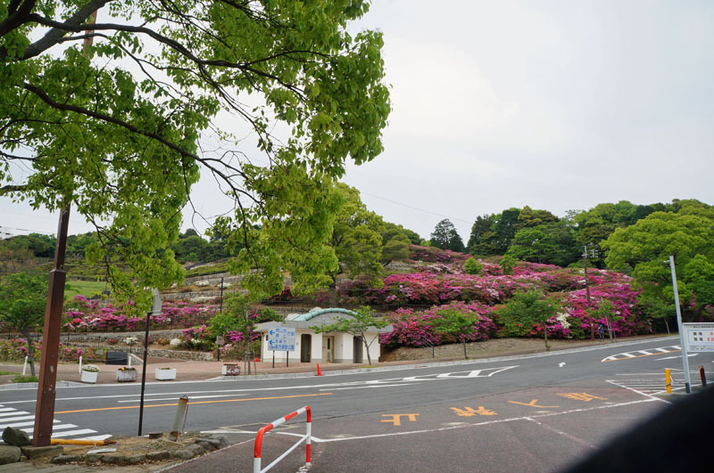 DSC05808.JPG
