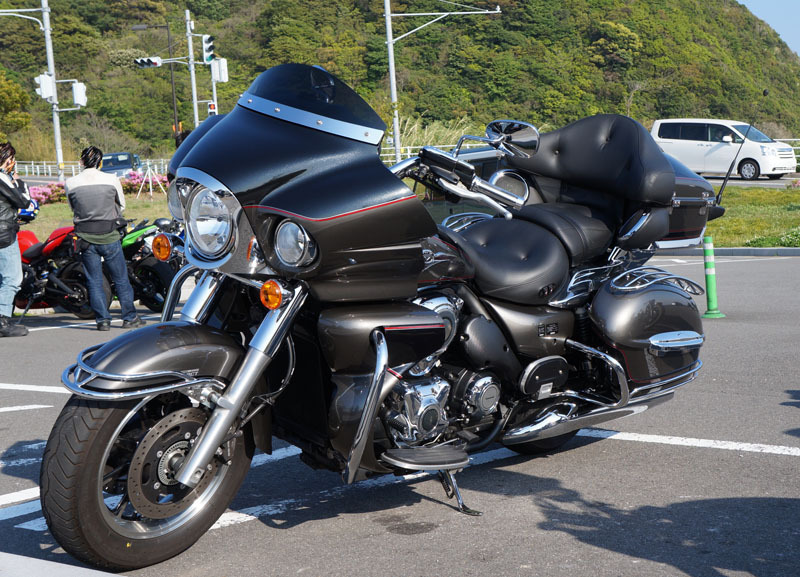 DSC08551.JPG