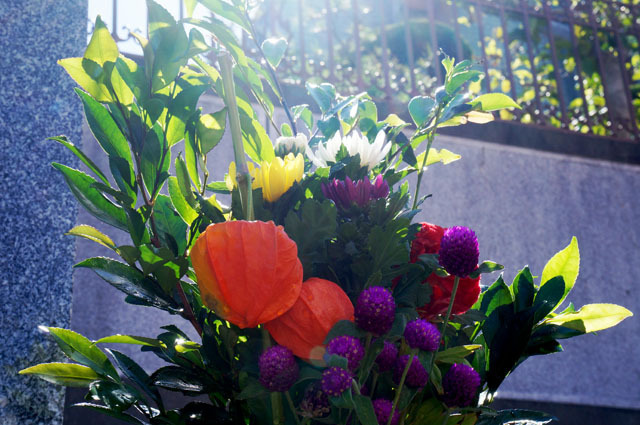 お盆　花 (1).JPG