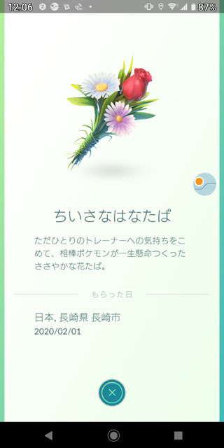 ちいさなはなたば.jpg