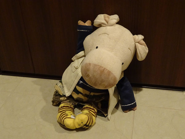 ちょろちゃん　600.jpg