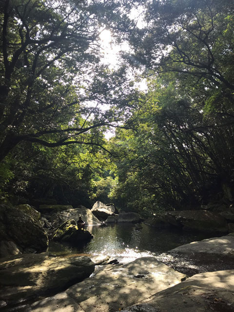 つがね落しの滝 (3).jpg