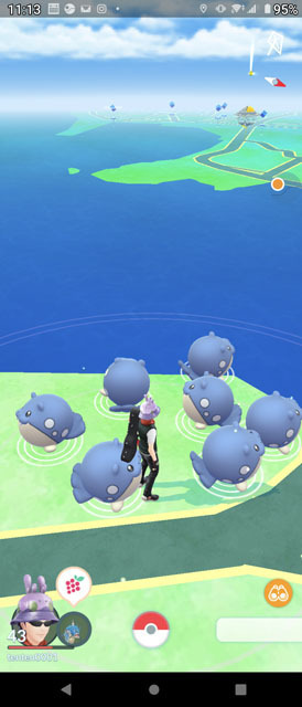 てたたきポケモンを解明せよ！ (1).jpg