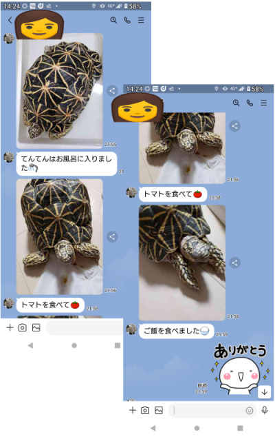 てんてんの様子.jpg