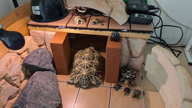 てんてんハウス (11).jpg
