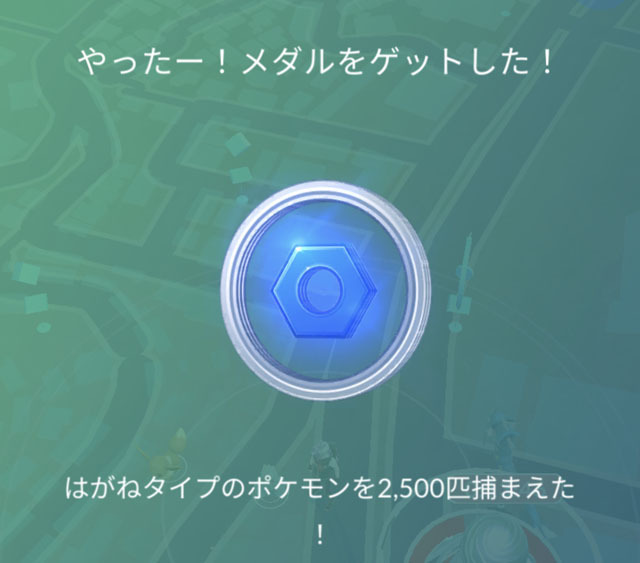 やったー！メダルをゲットした！.jpg