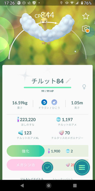 わたどりポケモンを解明せよ！ (6).jpg