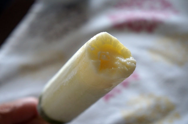 アイスクリーム (1).JPG