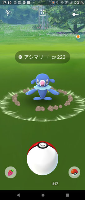 アシマリ (2).jpg