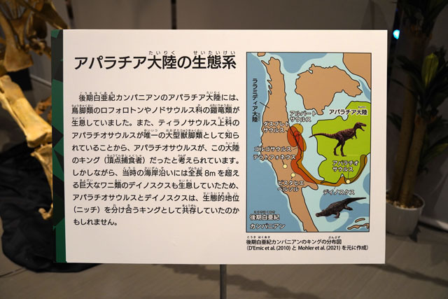 アパラチア大陸の生態系.JPG