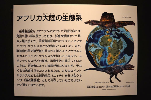 アフリカ大陸の生態系.JPG