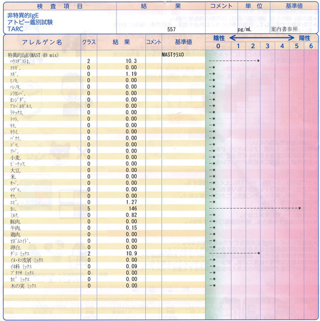 アレルギー検査-2.jpg