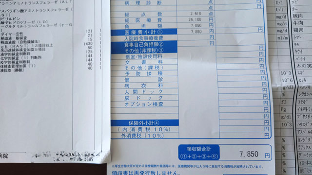 アレルギー検査.JPG