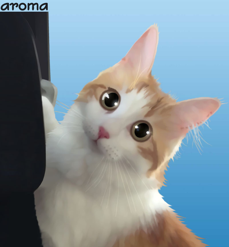 アロマちゃん800-2.jpg