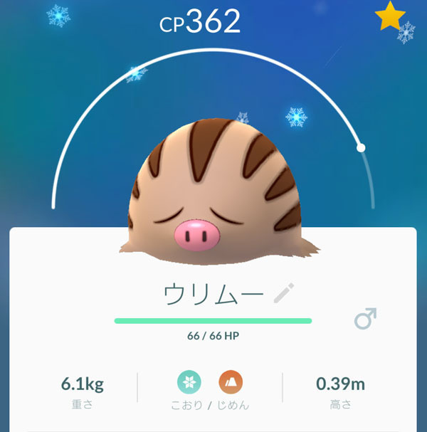 ウリムー.jpg