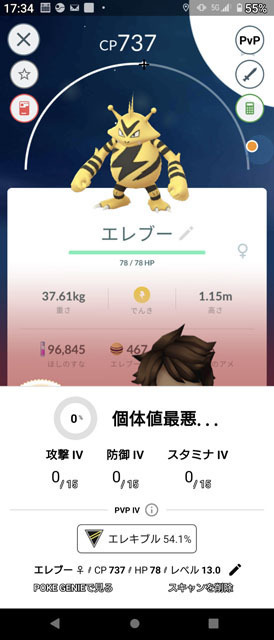 エレブー個体値最悪.jpg