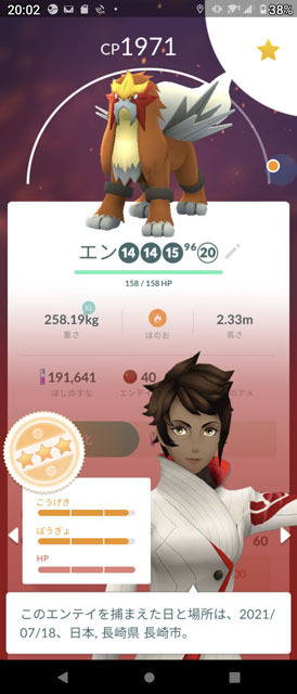 エンティ.jpg