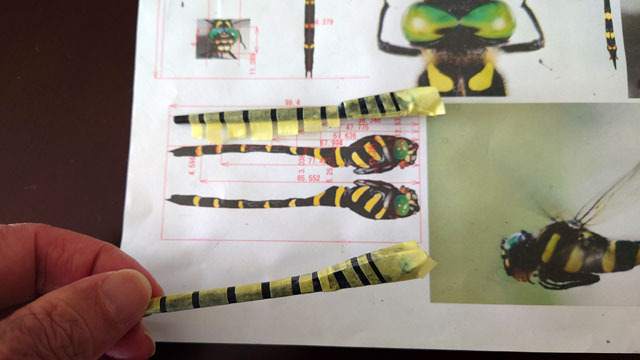 オニヤンマを作る (7).JPG