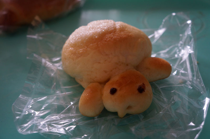 カメロン.JPG