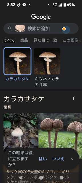カラカサタケ (5).jpg