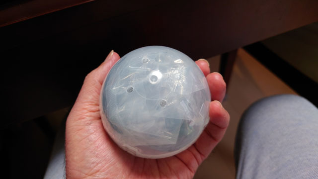 ガチャポン 生き物大図鑑 (2).JPG