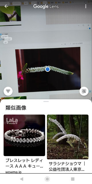 グーグルレンズ (1).jpg