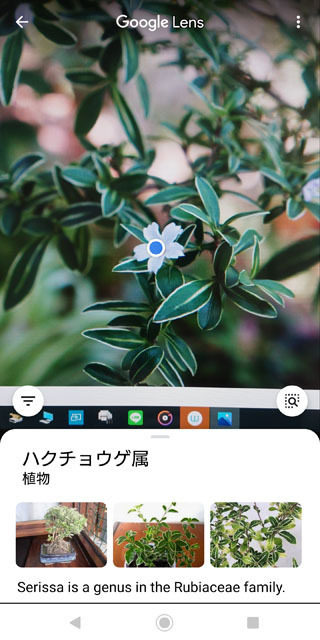 グーグルレンズ (5).jpg