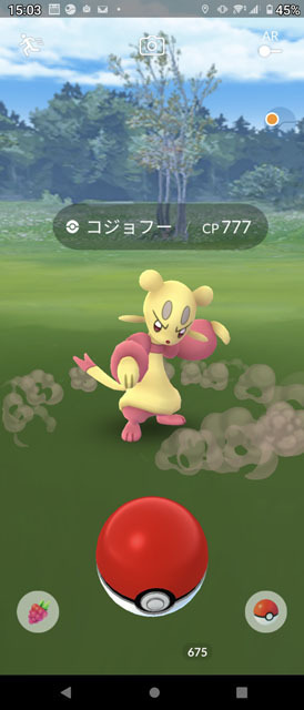 コジョフー (1).jpg