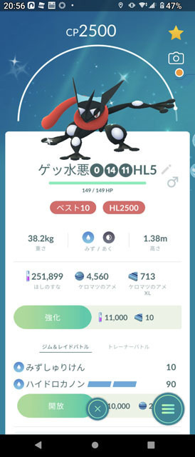 コミュニティデイ ケロマツ (1).jpg