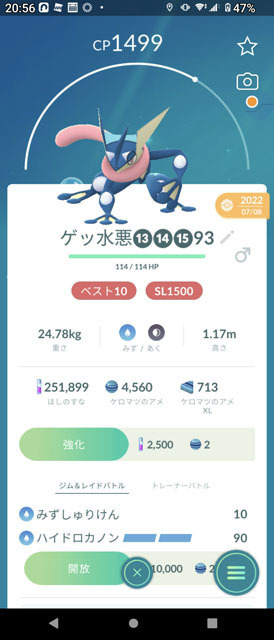 コミュニティデイ ケロマツ (2).jpg