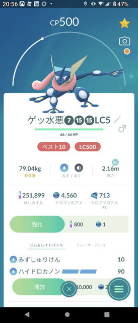 コミュニティデイ ケロマツ (3).jpg