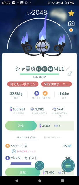 コミュニティ・デイ「ヒトモシ」 (1).jpg