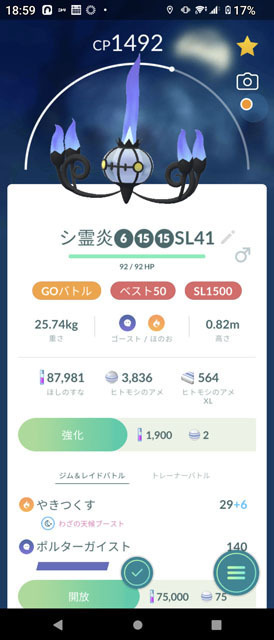 コミュニティ・デイ「ヒトモシ」 (2).jpg