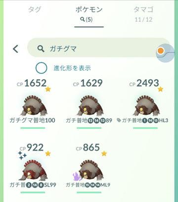 コミュニティ・デイ「ヒメグマ」 (5).jpg