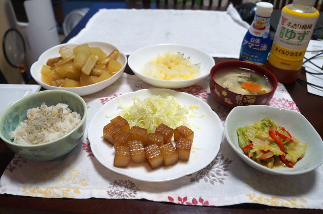 コンニャクステーキ (1).JPG