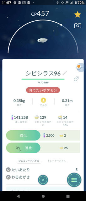 シビシラス.jpg