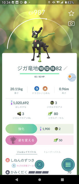ジガルデ (1).jpg