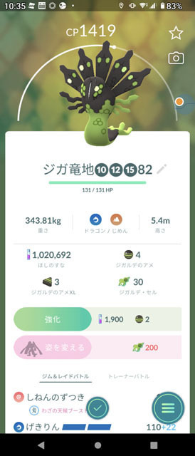 ジガルデ (2).jpg