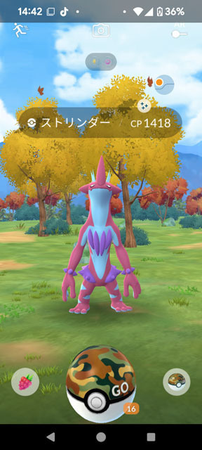 ストリンダー.jpg