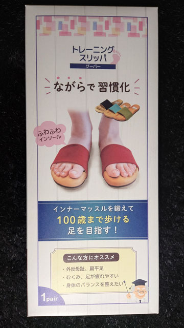 トレーニングスリッパ (1).JPG