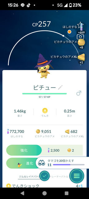 ハロウィン帽子ピチュー.jpg