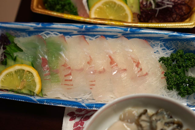 ヒラメ.JPG