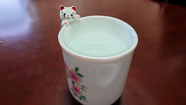 フチのりにゃんこ (1).JPG