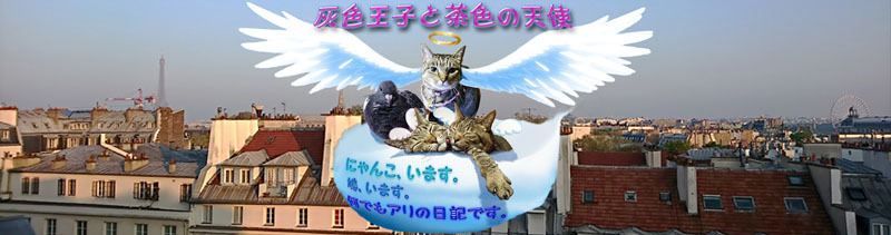 ブログサイズ2850.jpg