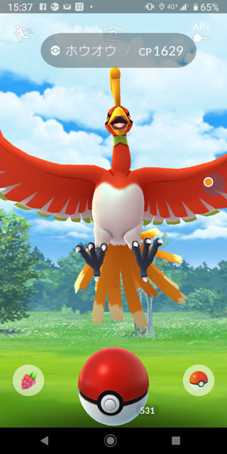 ホウオウ.jpg