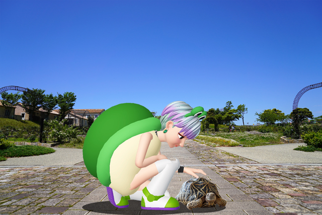 ホシガメ.jpg