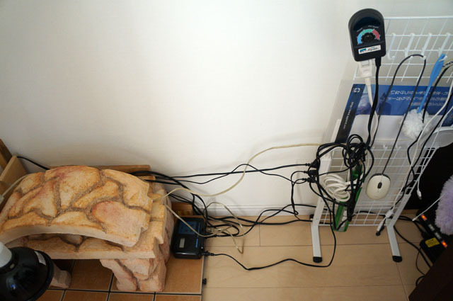 ホシガメのお家 (7).JPG